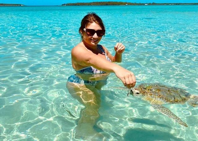 Sand Dollar At Ten Bay Beach Home Savannah Sound Bagian luar foto